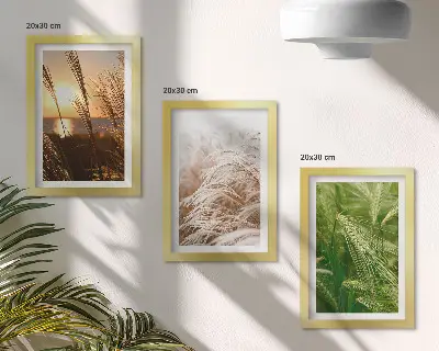 Galerie de perete cu diferite tipuri de iarbă în nuanțe colorate