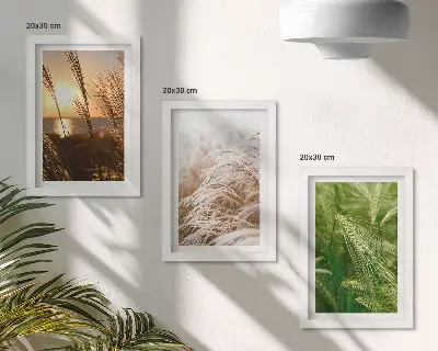 Galerie de perete cu diferite tipuri de iarbă în nuanțe colorate