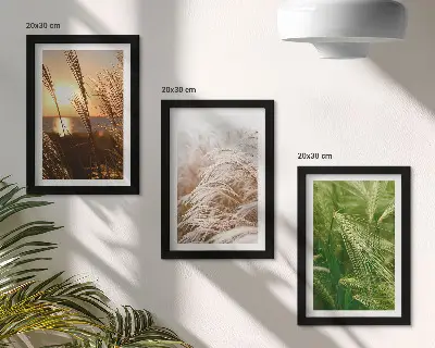 Galerie de perete cu diferite tipuri de iarbă în nuanțe colorate