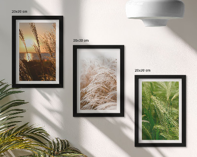 Galerie de perete Diferite tipuri de iarbă colorată natură
