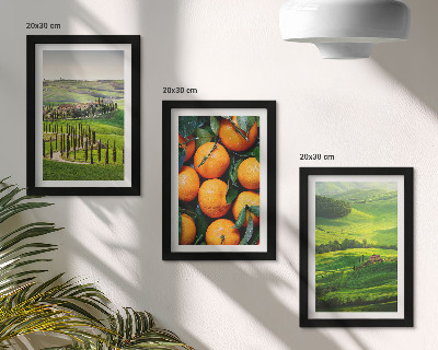 Galerie de perete Peisaj rural italian cu portocale și natură