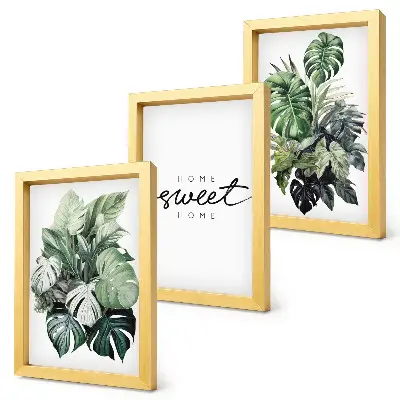 Set 3 tablouri cu plante verzi și mesajul Acasă dulce