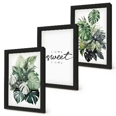 Set 3 tablouri cu plante verzi și mesajul Acasă dulce