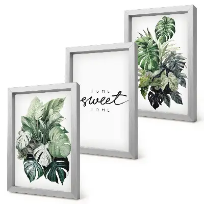 Set 3 tablouri cu plante verzi și mesajul Acasă dulce