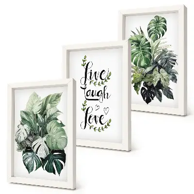 Galerie de perete cu plante și textul trăiește, râde, iubește