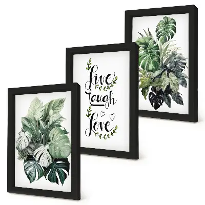 Galerie de perete cu plante și textul trăiește, râde, iubește