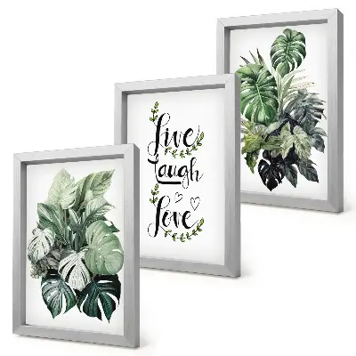Galerie de perete cu plante și textul trăiește, râde, iubește