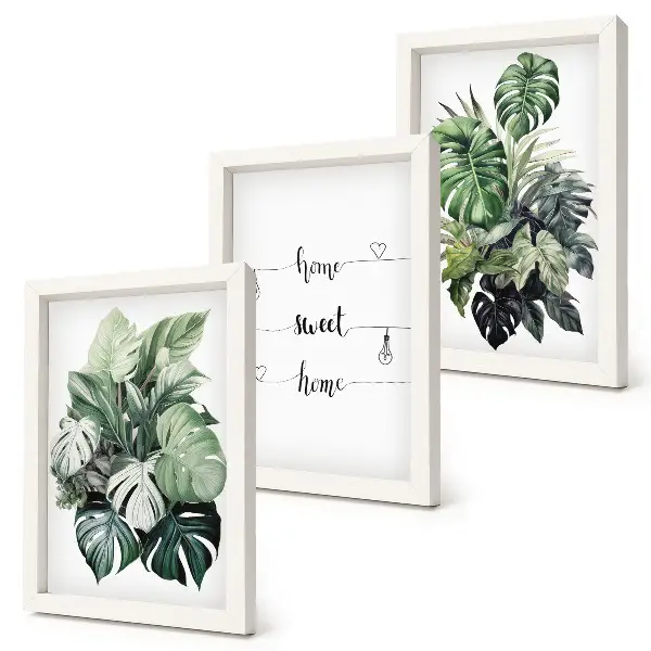 Galerie de perete cu acuarelă reprezentând frunze de monstera și mesajul acasă dulce acasă