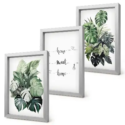 Galerie de perete cu acuarelă reprezentând frunze de monstera și mesajul acasă dulce acasă
