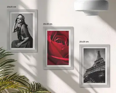 Galerie de perete cu femeie pariziană cu ochelari trandafiri și Turnul Eiffel