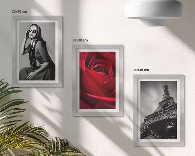 Galerie de perete Femeie pariziană cu ochelari trandafiri și Turnul Eiffel