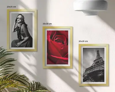 Galerie de perete cu femeie pariziană cu ochelari trandafiri și Turnul Eiffel