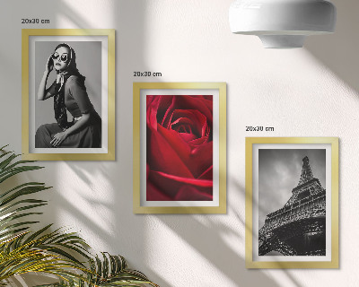 Galerie de perete Femeie pariziană cu ochelari trandafiri și Turnul Eiffel