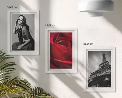 Galerie de perete cu femeie pariziană cu ochelari trandafiri și Turnul Eiffel