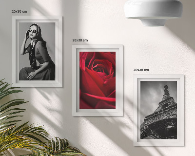 Galerie de perete Femeie pariziană cu ochelari trandafiri și Turnul Eiffel