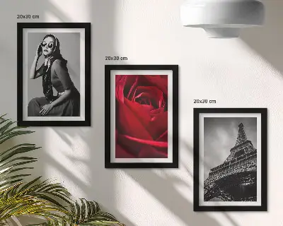 Galerie de perete cu femeie pariziană cu ochelari trandafiri și Turnul Eiffel