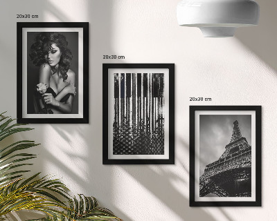 Set 3 tablouri Portretul unei femei cu un trandafir, Turnul Eiffel și un model de pian