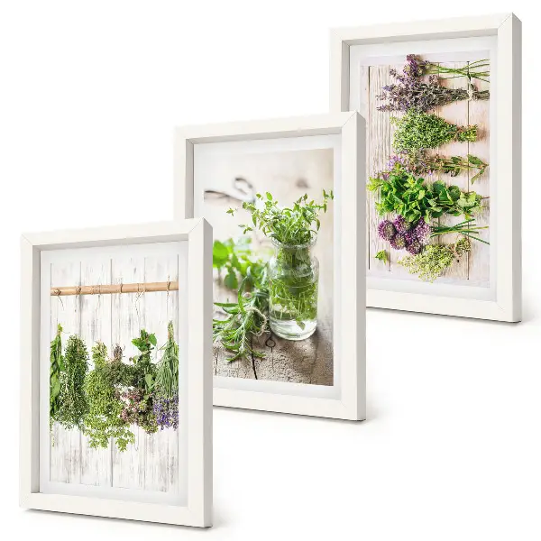 Galerie de perete pentru uscarea ierburilor și plantelor aromatice în bucătărie
