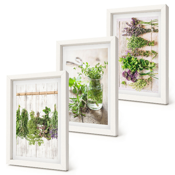 Galerie de perete Uscarea ierburilor și plantelor pentru bucătărie