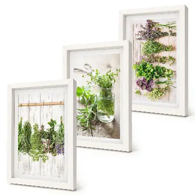 Galerie de perete pentru uscarea ierburilor și plantelor aromatice în bucătărie