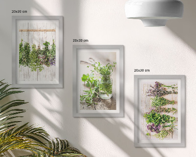Galerie de perete Uscarea ierburilor și plantelor pentru bucătărie