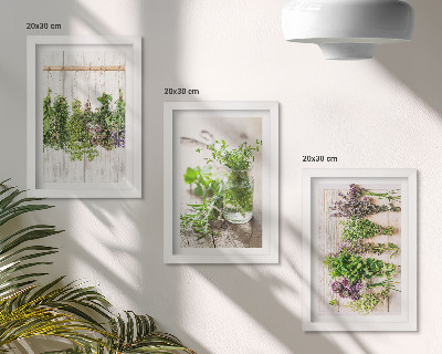Galerie de perete Uscarea ierburilor și plantelor pentru bucătărie