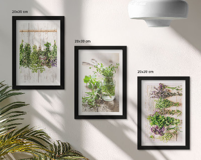 Galerie de perete Uscarea ierburilor și plantelor pentru bucătărie