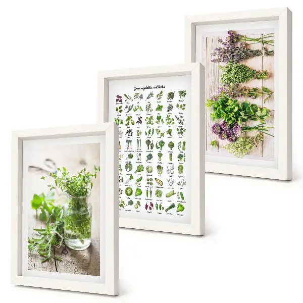 Galerie de perete cu plante uscate pentru lista de ierburi aromatice de bucătărie