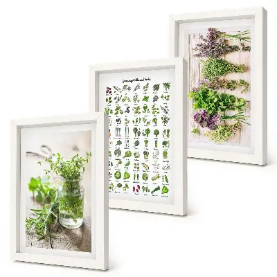 Galerie de perete cu plante uscate pentru lista de ierburi aromatice de bucătărie