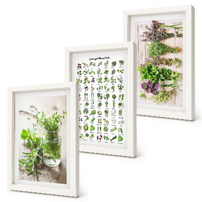 Galerie de perete Plante uscate pentru lista de ierburi aromatice de bucătărie