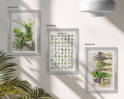 Galerie de perete Plante uscate pentru lista de ierburi aromatice de bucătărie