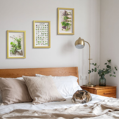 Galerie de perete Plante uscate pentru lista de ierburi aromatice de bucătărie