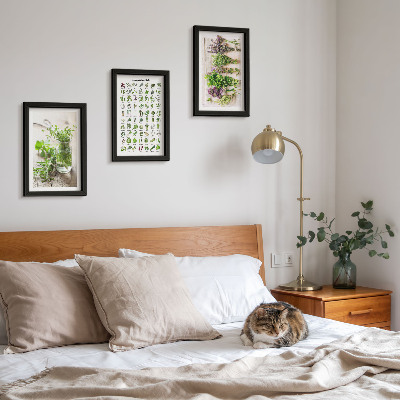 Galerie de perete Plante uscate pentru lista de ierburi aromatice de bucătărie