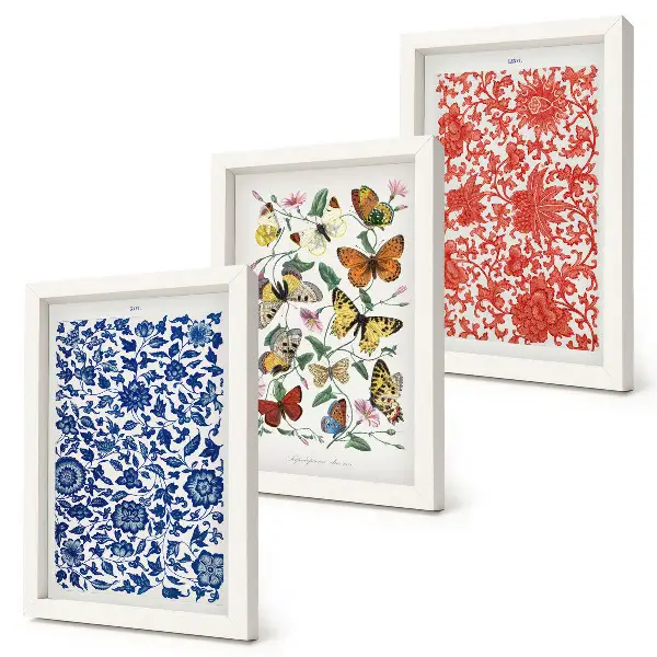 Galerie de perete cu postere vintage reprezentând flori, fluturi și ornamente