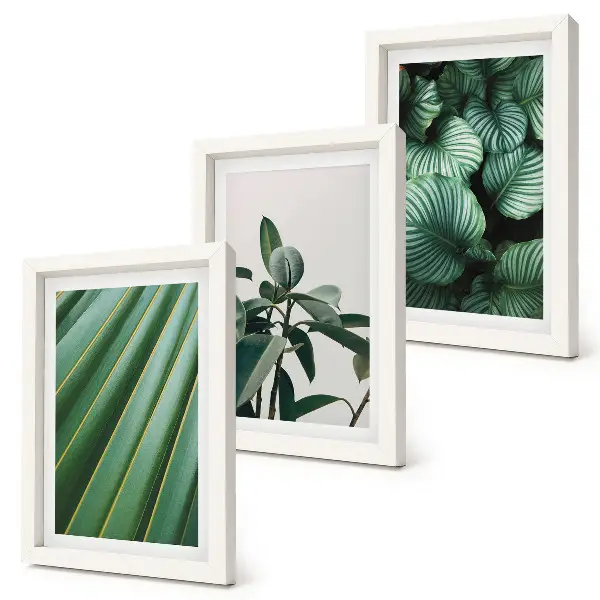 Set de 3 tablouri cu frunze tropicale estetice în diferite nuanțe de verde
