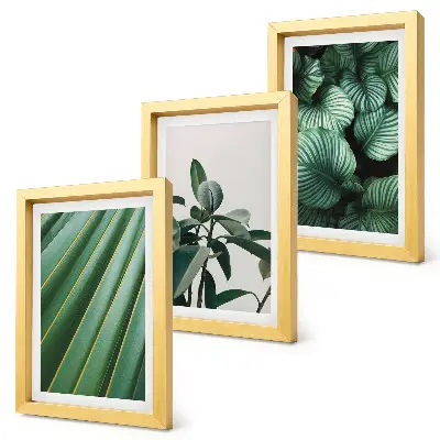 Set de 3 tablouri cu frunze tropicale estetice în diferite nuanțe de verde