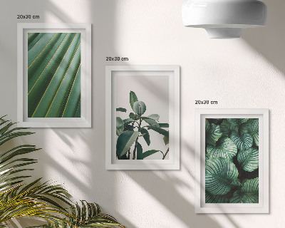 Set 3 tablouri Frunze tropicale estetice în diferite nuanțe de verde
