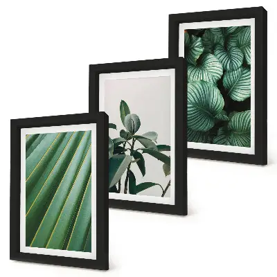 Set de 3 tablouri cu frunze tropicale estetice în diferite nuanțe de verde