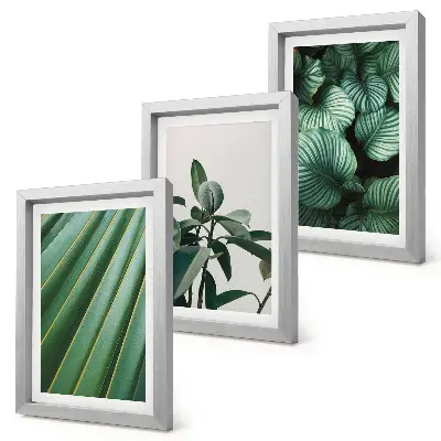 Set de 3 tablouri cu frunze tropicale estetice în diferite nuanțe de verde