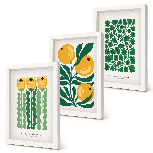 Set 3 tablouri Postere cu modele de plante cu flori și frunze