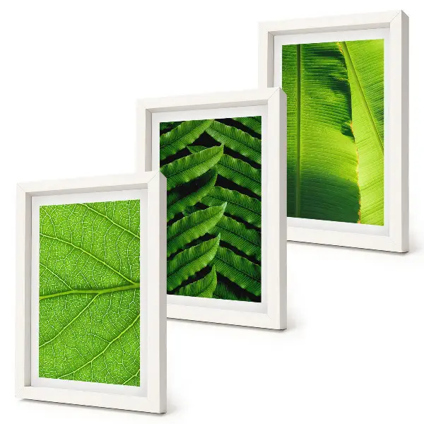 Galerie de perete cu prim-planuri de frunze tropicale