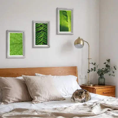 Galerie de perete cu prim-planuri de frunze tropicale