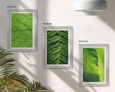 Galerie de perete cu prim-planuri de frunze tropicale