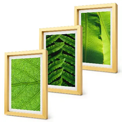 Galerie de perete cu prim-planuri de frunze tropicale