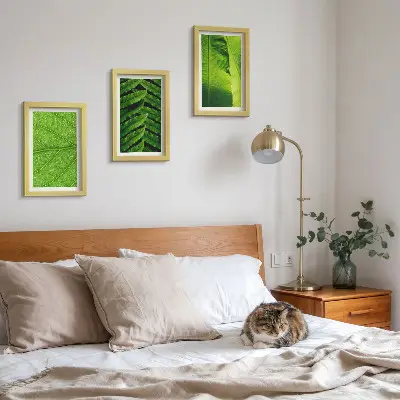 Galerie de perete cu prim-planuri de frunze tropicale