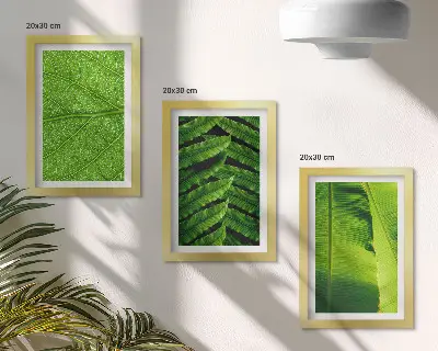 Galerie de perete cu prim-planuri de frunze tropicale