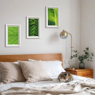 Galerie de perete cu prim-planuri de frunze tropicale