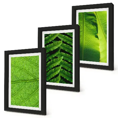 Galerie de perete cu prim-planuri de frunze tropicale