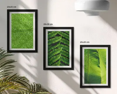 Galerie de perete cu prim-planuri de frunze tropicale