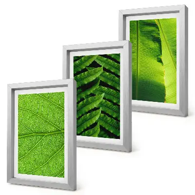 Galerie de perete cu prim-planuri de frunze tropicale
